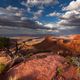 Canyonlands