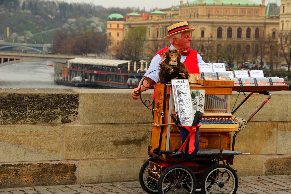 Orgue de barbarie de Isabo photography 