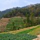 Terrassenfelder im Kathmandutal