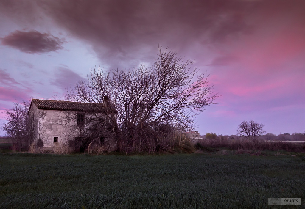 Abandonada al atardecer