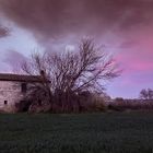 Abandonada al atardecer