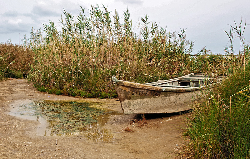 abandonada