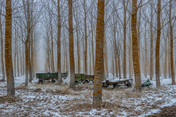 Abandonados al frio.