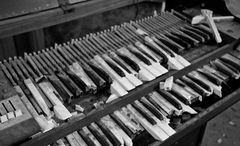 abandoned abbey #6 - broken fingerboard of an organ No. 2