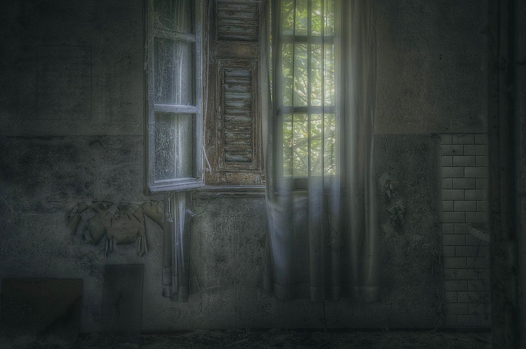 abandoned Asylum, Manicomio (I)