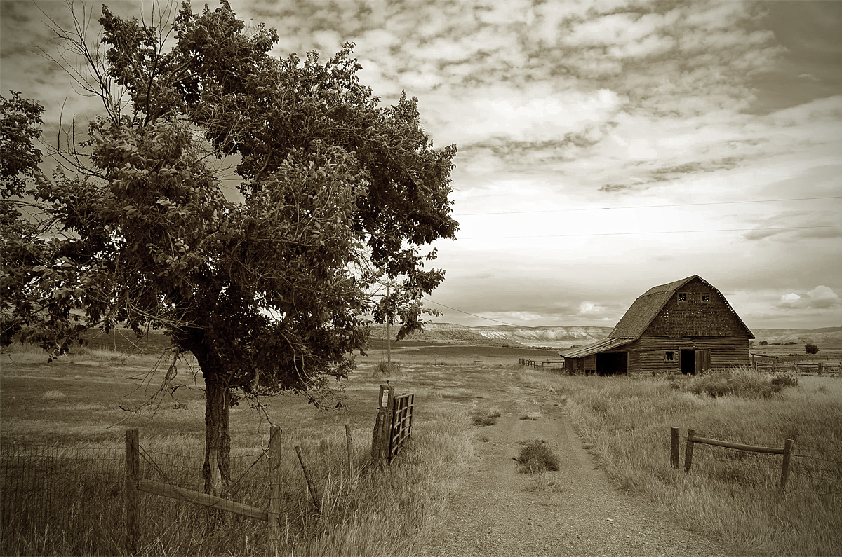 Abandoned Barn