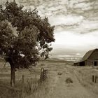 Abandoned Barn