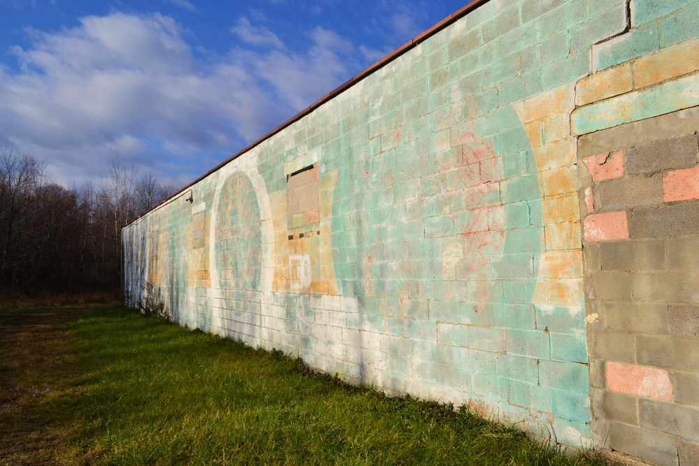 Abandoned Beauty