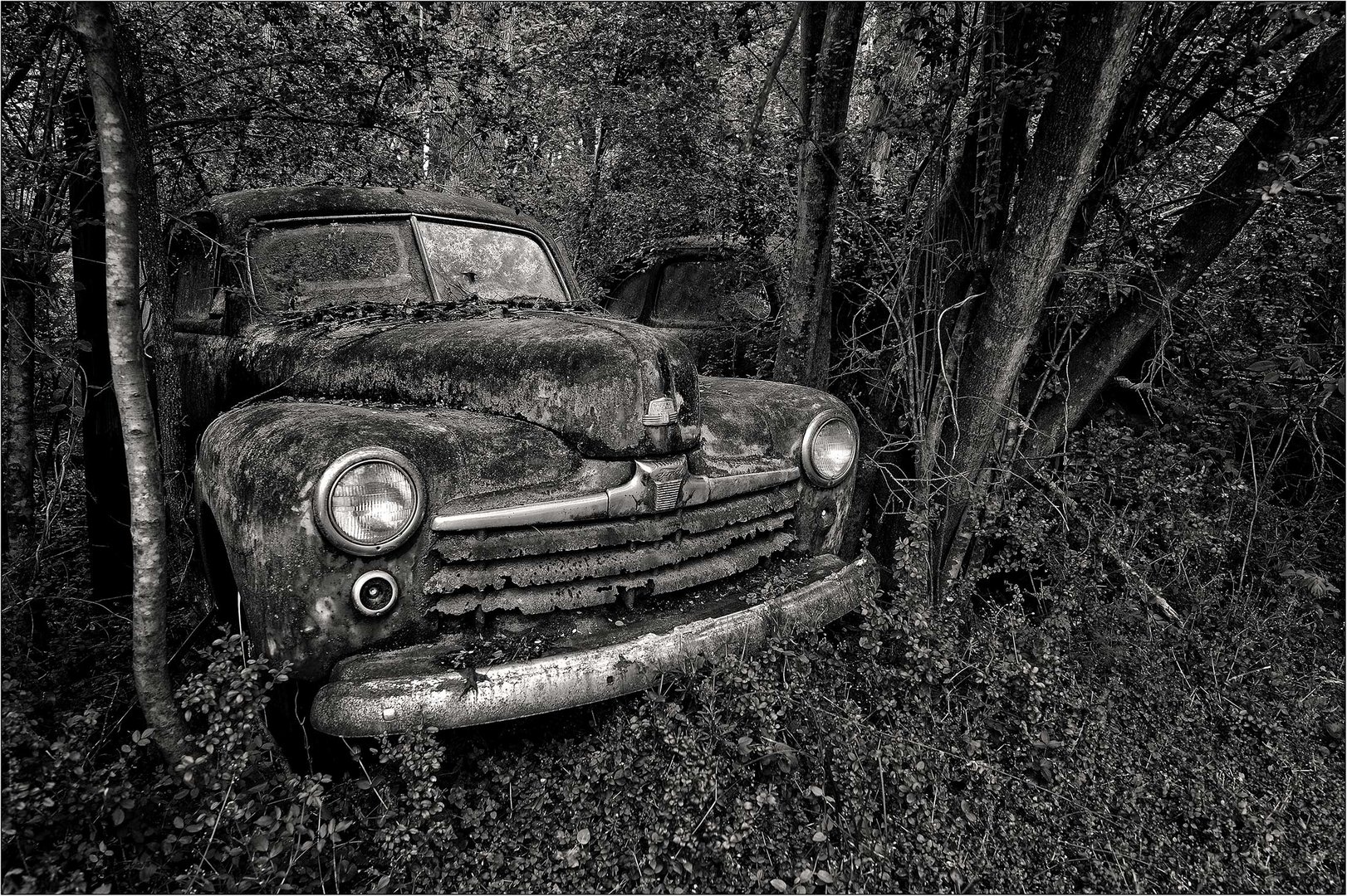 Abandoned Beauty