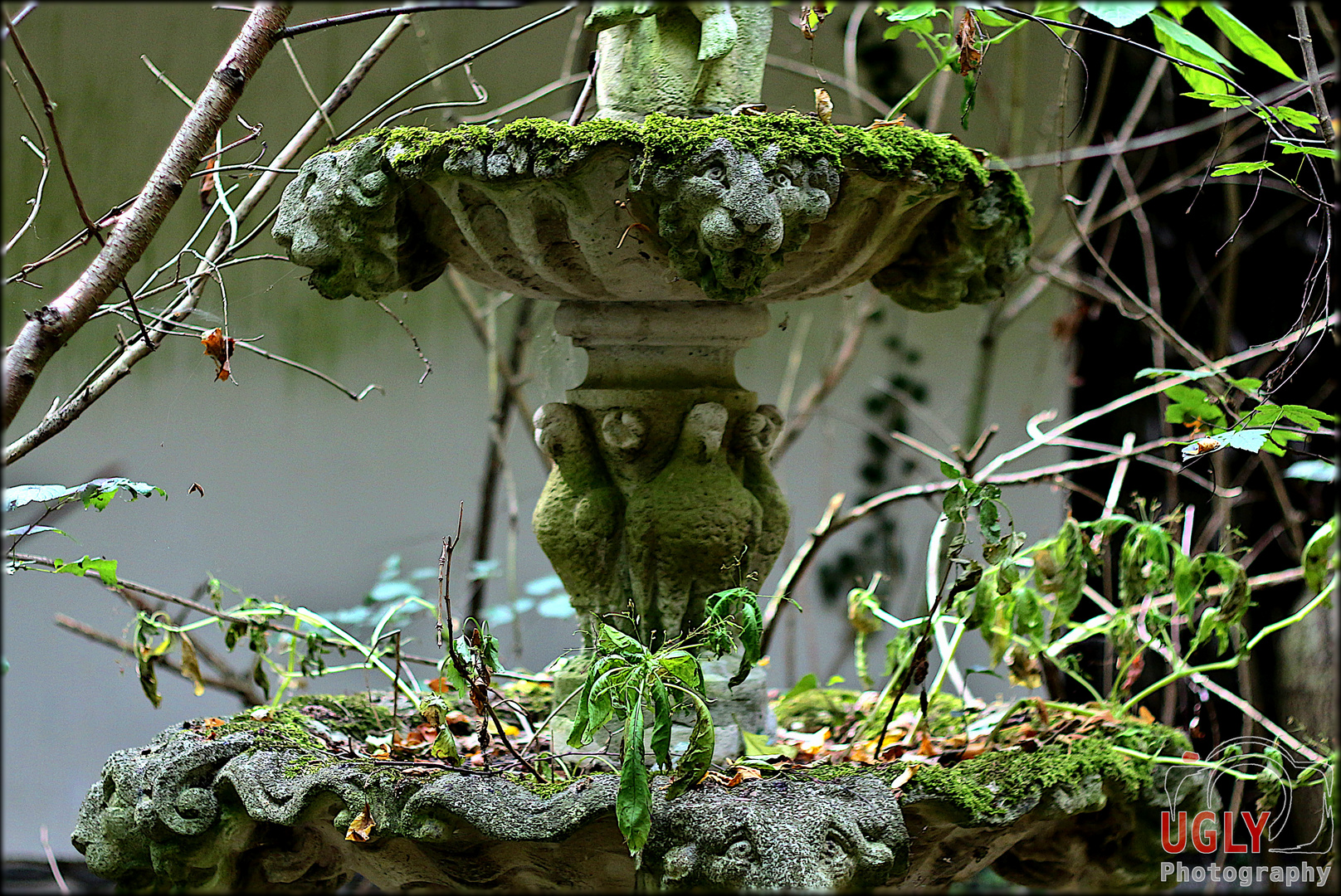 "Abandoned Bird Bath"