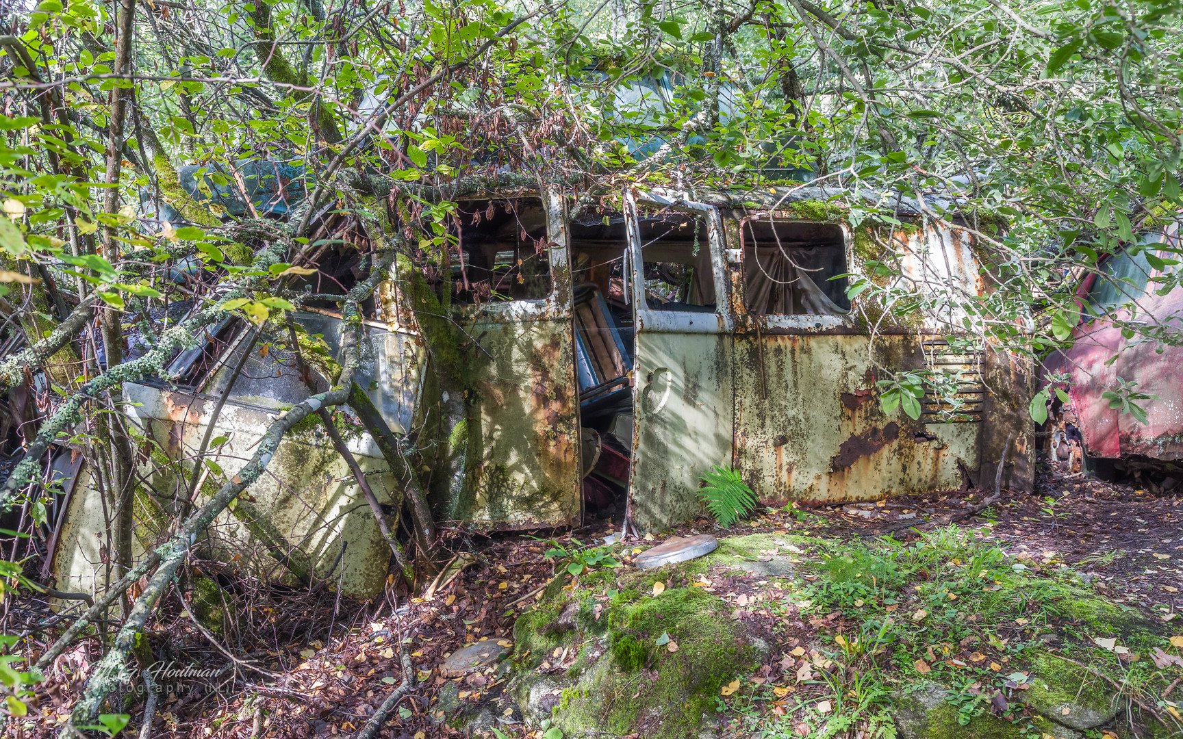 Abandoned car cemetery