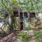 Abandoned car cemetery