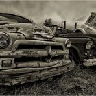 ~abandoned cars~