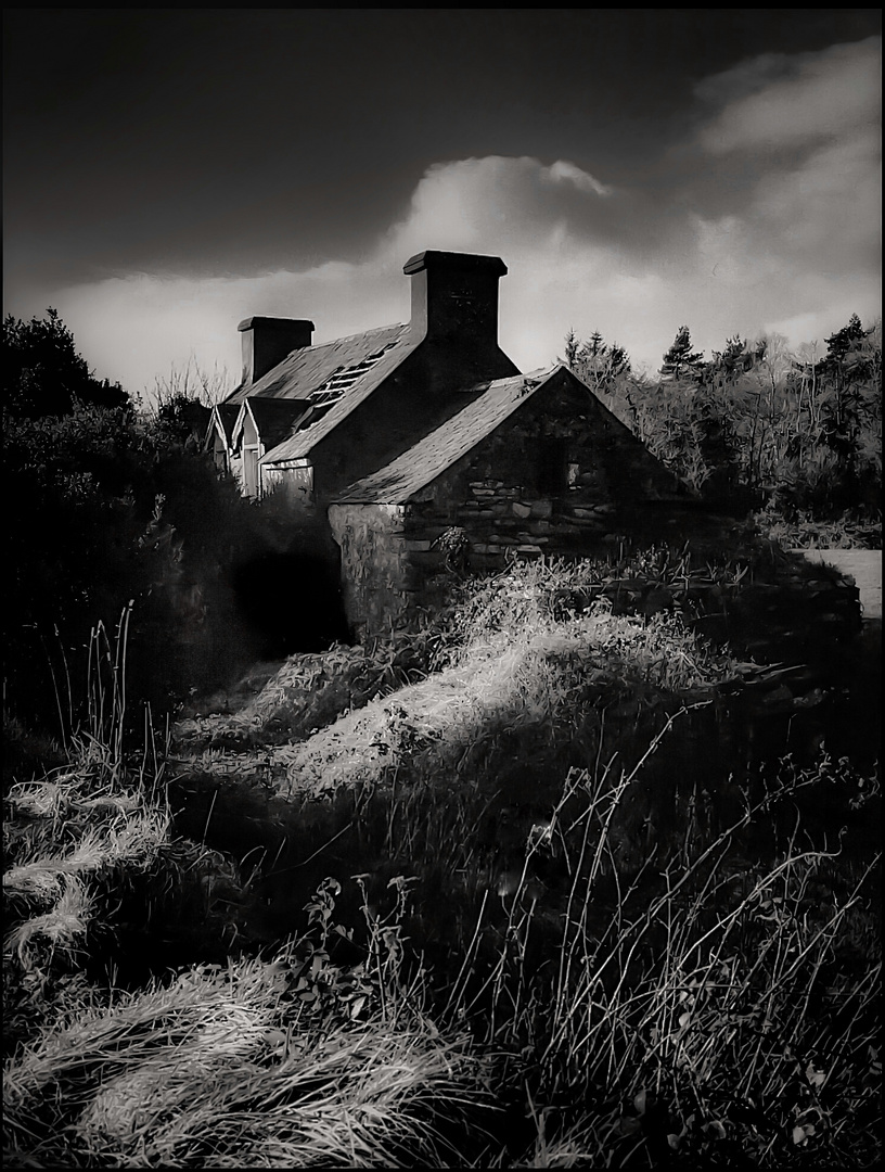 Abandoned Cottage