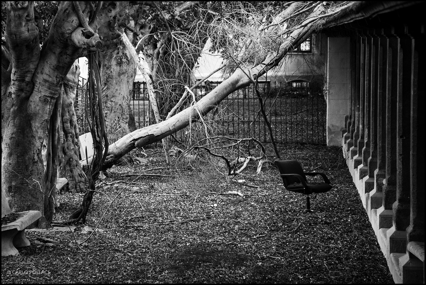 Abandoned courtyard of the Royal House of Fools