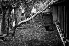 Abandoned courtyard of the Royal House of Fools