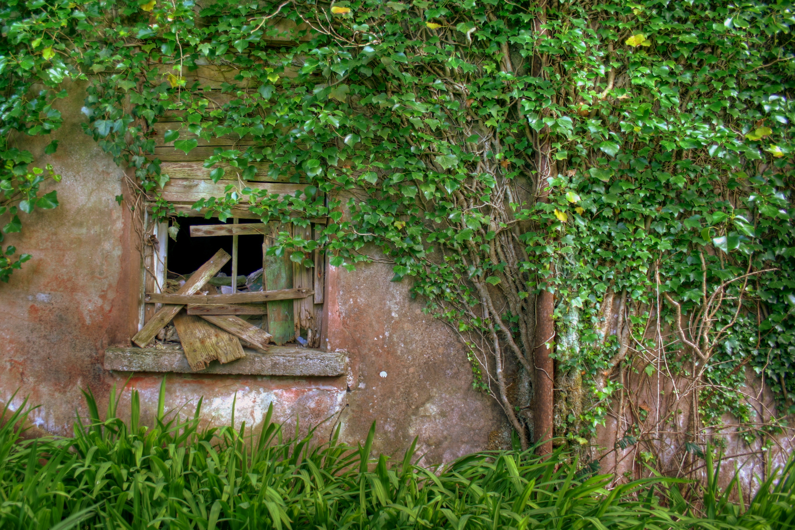 Abandoned Farm House