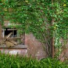 Abandoned Farm House