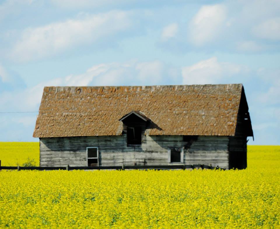 Abandoned Farm House