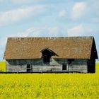 Abandoned Farm House