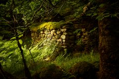 Abandoned Femine Cottage - ein Zeitzeuge