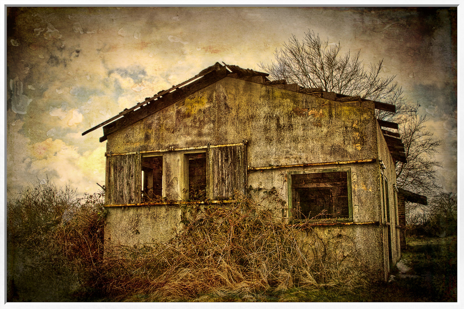 Abandoned House by Tony