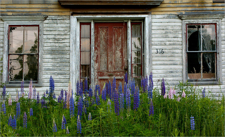 Abandoned House