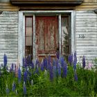 Abandoned House