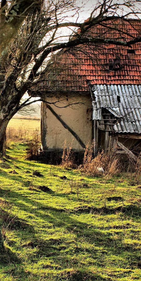 Abandoned Old House