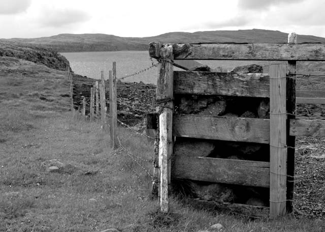 Abandoned paddock