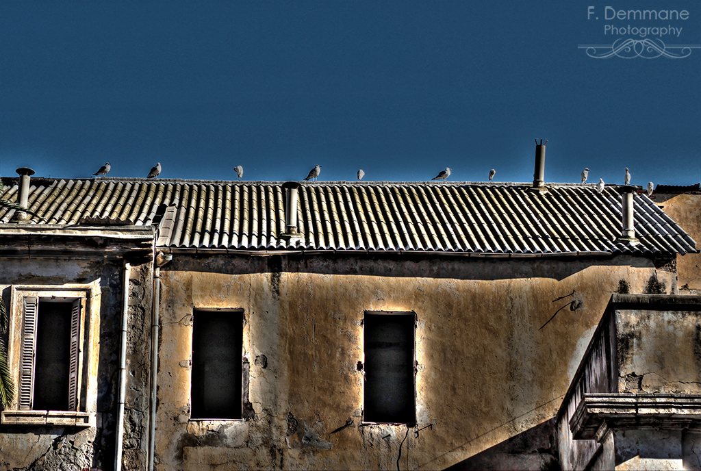 Abandoned roof