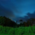 abandoned sugar plantation at sunrise