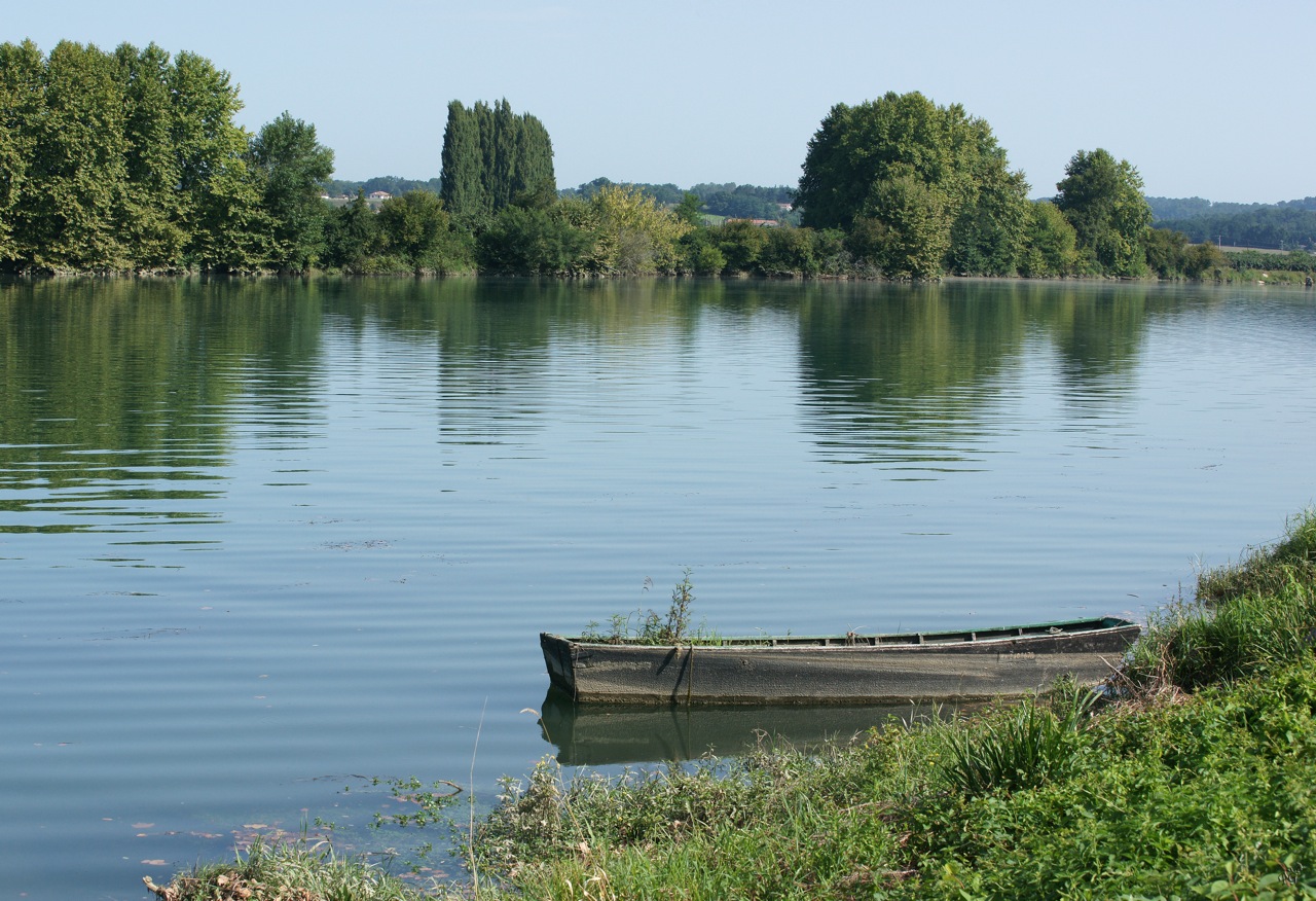 Abandonnée...