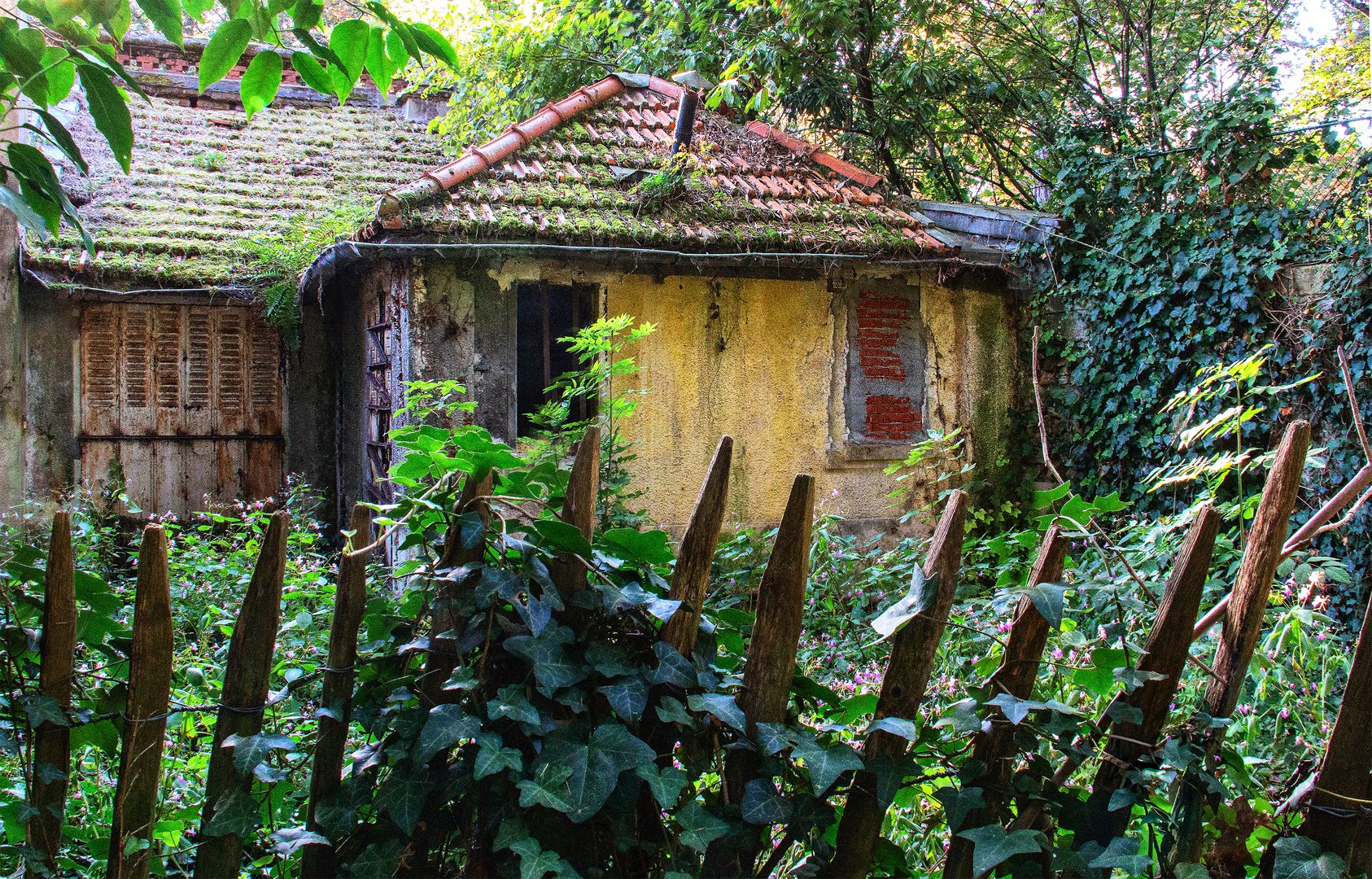  Abandonnée ... 