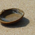 abandonnée sur la plage