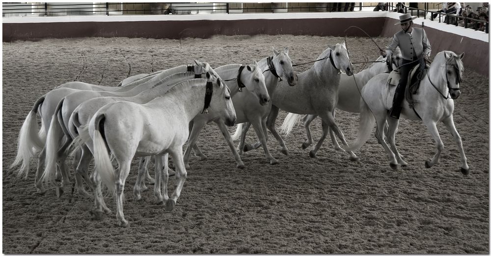 Abanico cartujano