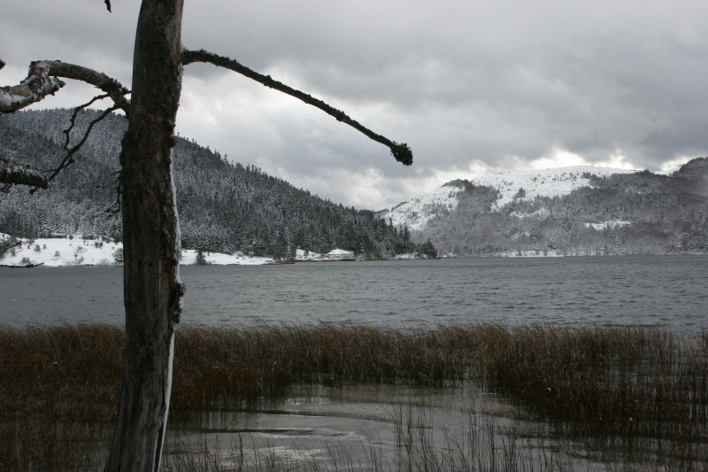 Abant / Bolu TÜRKÝYE