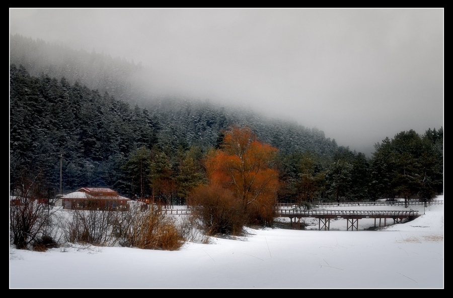 Abant - Bolu / Turkey