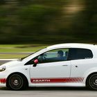 Abarth Track Day - Panning