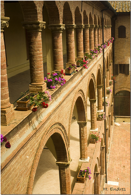 Abbadia di Monte Oliveto Maggiore II