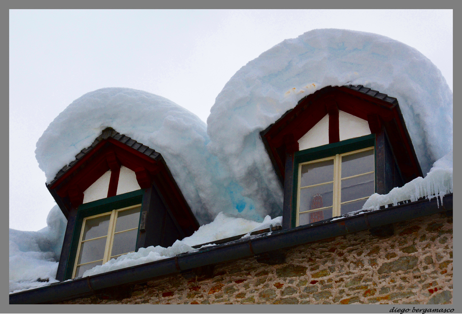 Abbaini sotto la neve