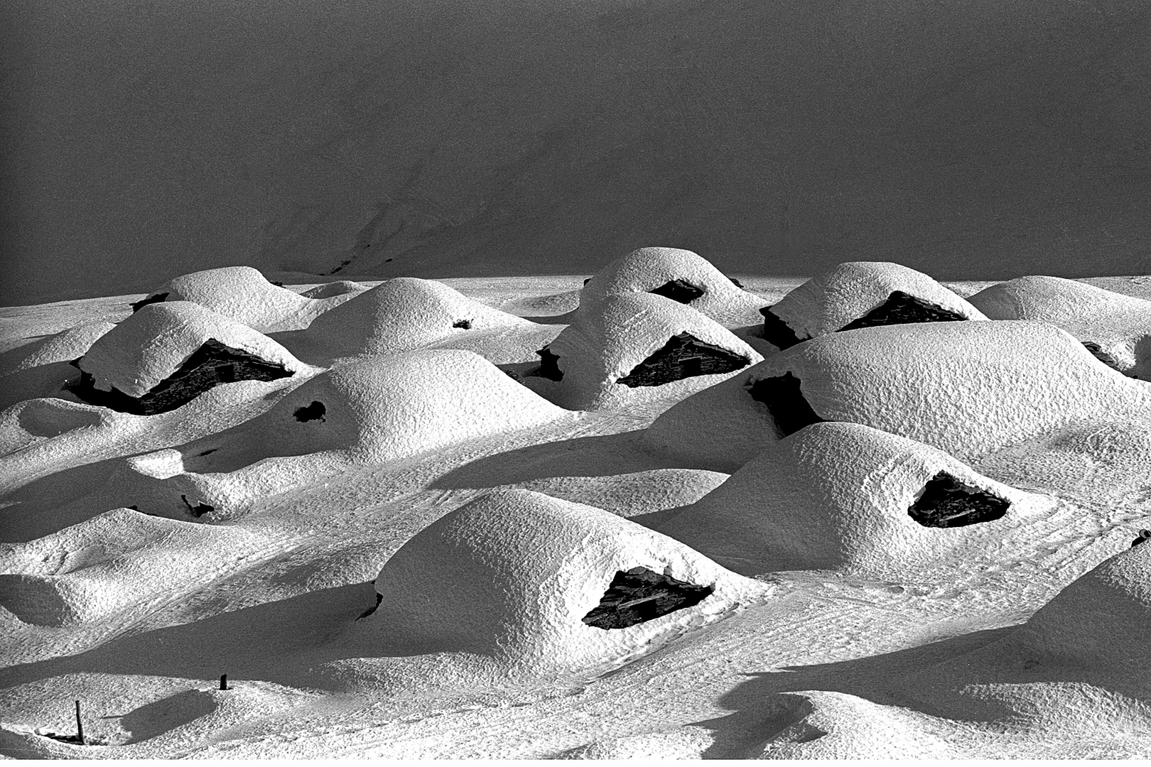 Abbandonate sotto la neve