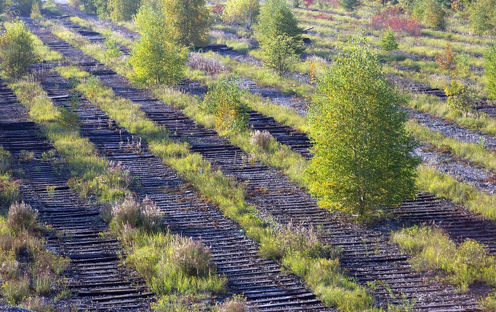 Abbau großer Gleisanlagen