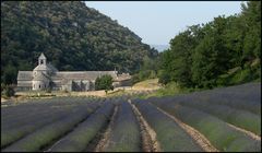 Abbay de Sénanque