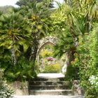 Abbay Garden on the island of Tresco, UK