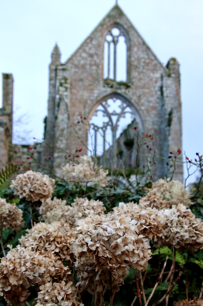 Abbaye Beauport