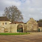 Abbaye Cistercienne de Fontenay