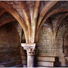 Abbaye Cistercienne du thoronet