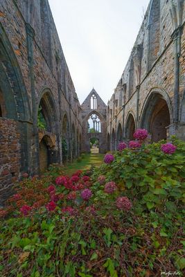 Abbaye de Beauport