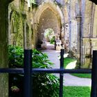 Abbaye de Beauport 1